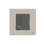 ABB Single Pole Spur Unit with Flex Outlet, Millenium, 13A, 6kA, Dune Sand - AM50653-DU