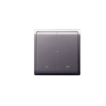 Schneider 20A-16AX 250V 2 Gang 1 Way Switch with Fluorescent Locator, Aluminium Silver E8232L1F20_AS_G1