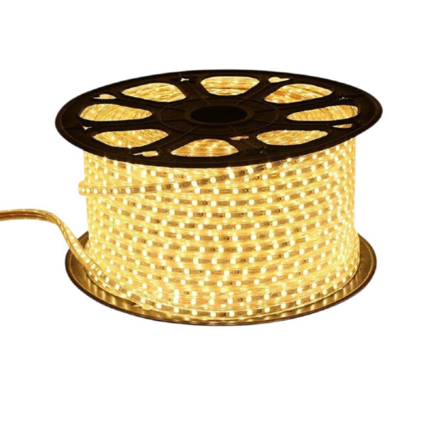 RR LED Strip Light - IP65 SMD2835 50m Blue Premium - Safe Installation