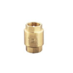 Pegler Non-Return Valve 1063 1.50" Premium - Reliable Use
